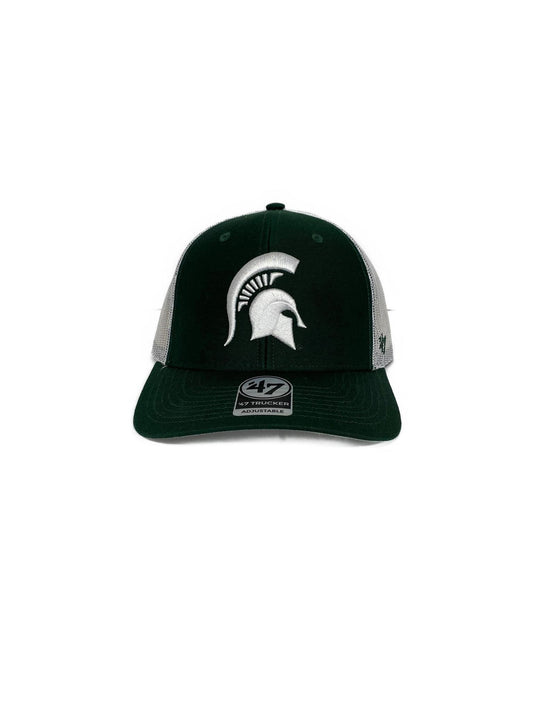 Michigan state