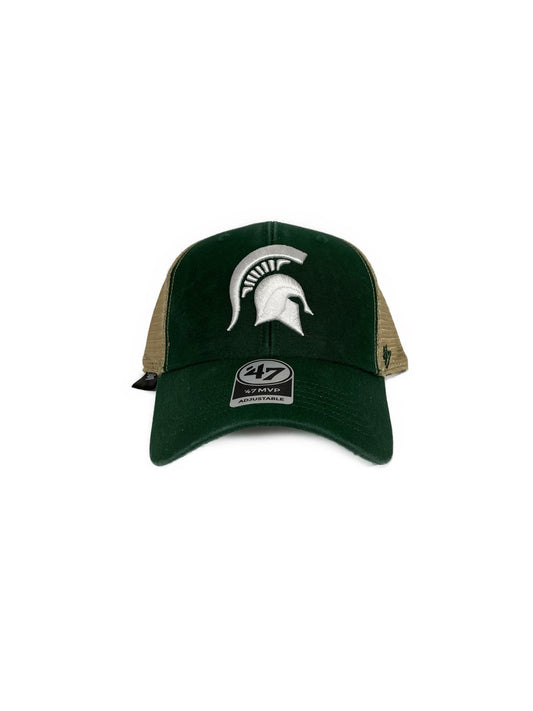 Michigan state